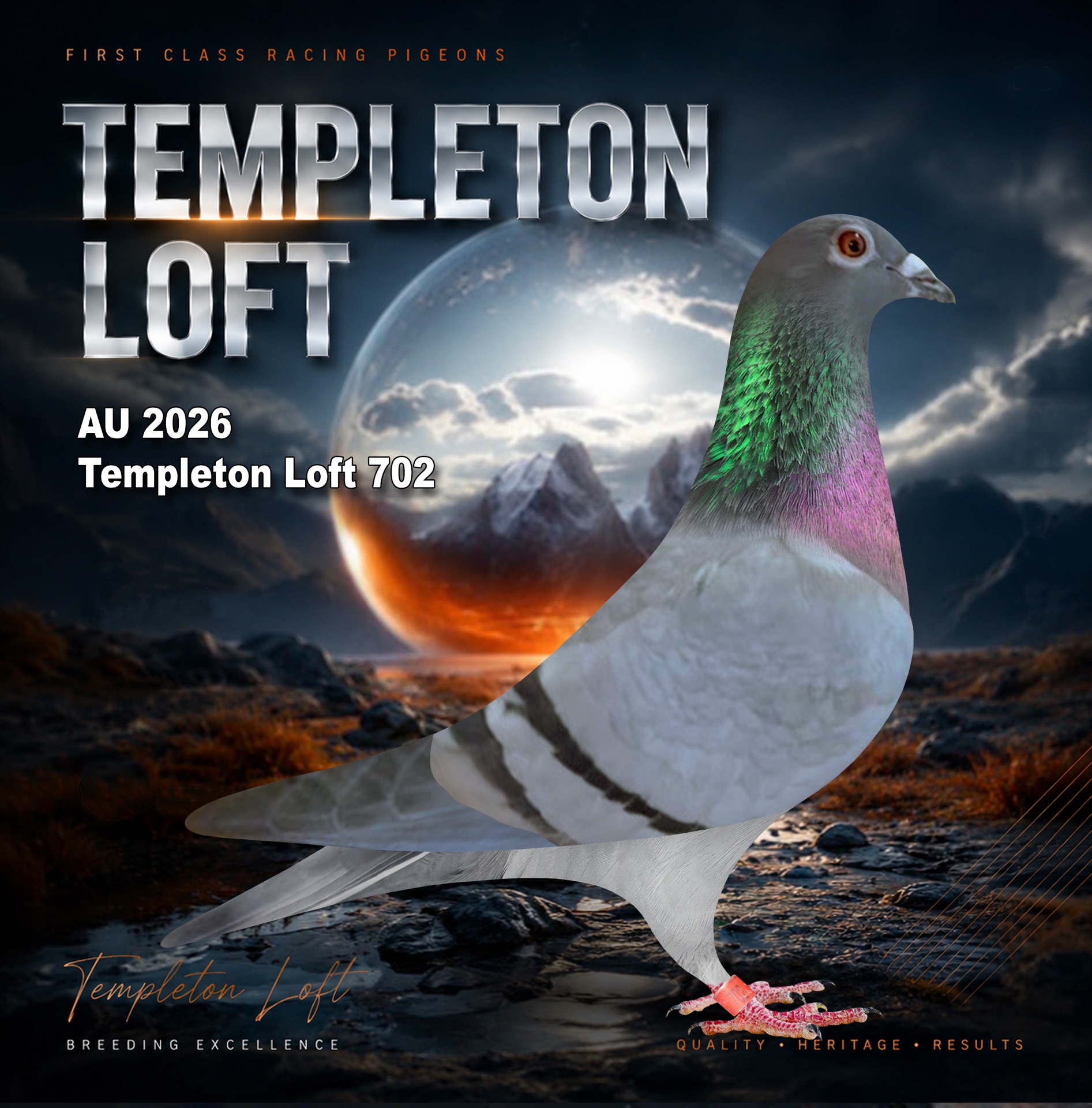 Templeton loft 2026/702 FULL DNA