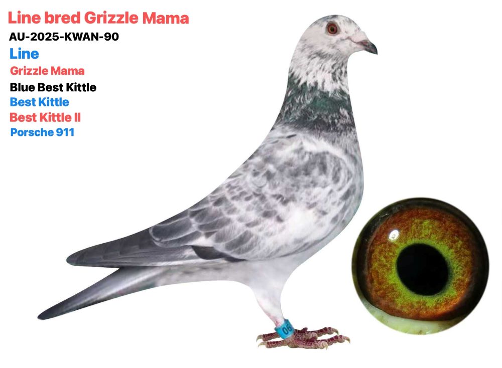 Leideman Grizzle Mama