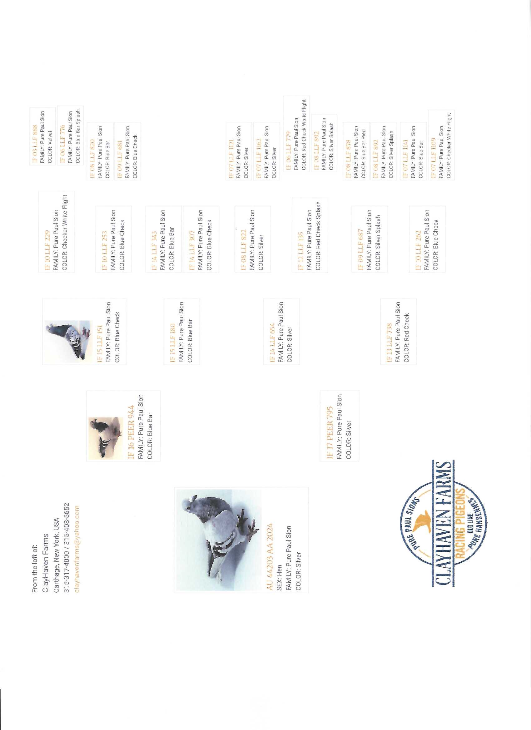 Preview Image 2