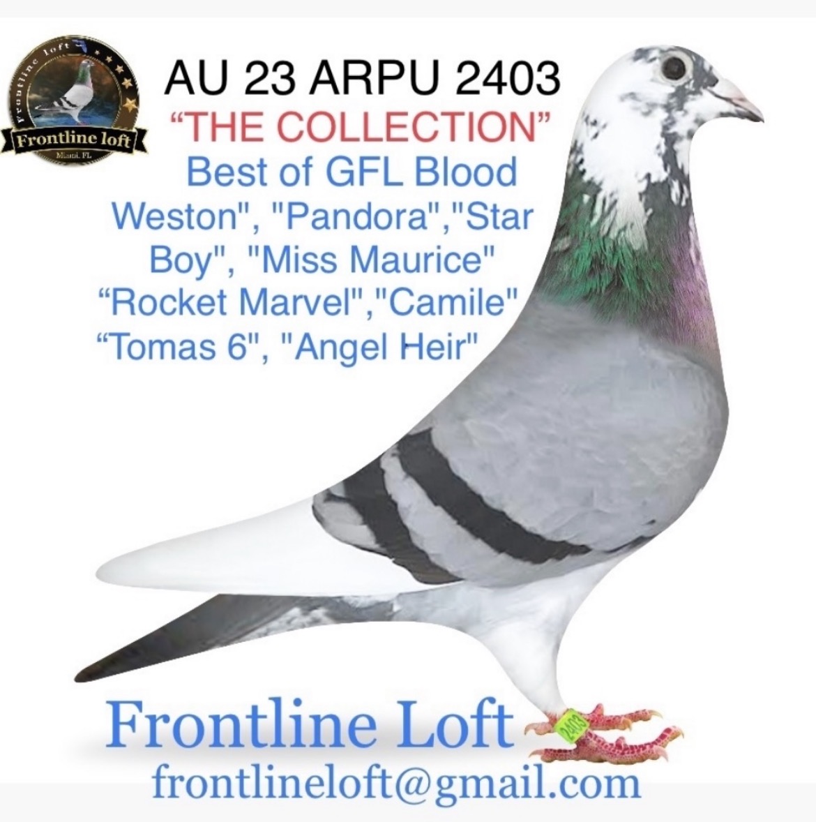 Weston", "Pandora","Star Boy", "Miss Maurice"
"Rocket Marvel",