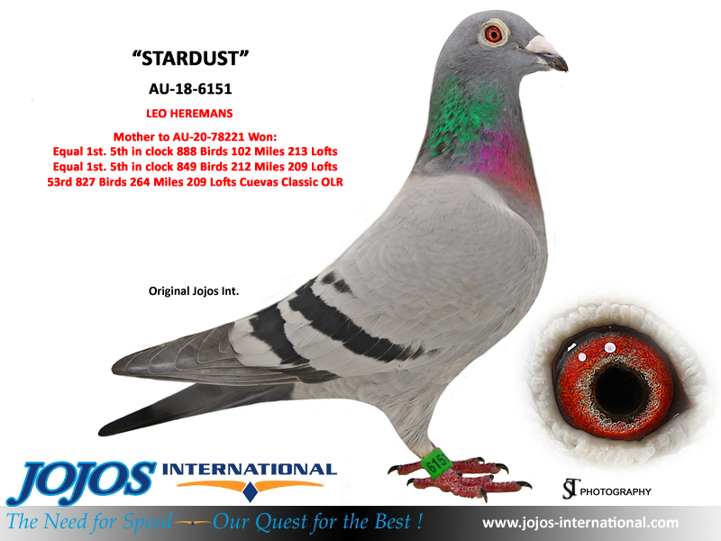 LOT # 23 AU-24-78960