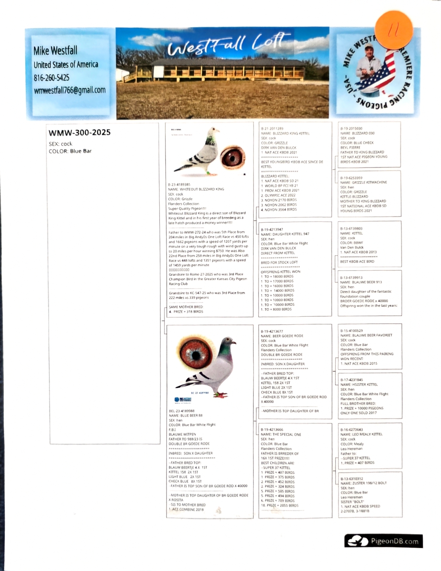 Preview Image 2