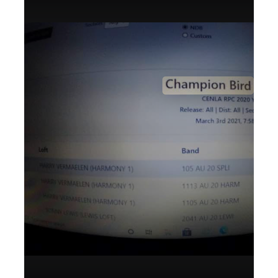 Preview Image 3