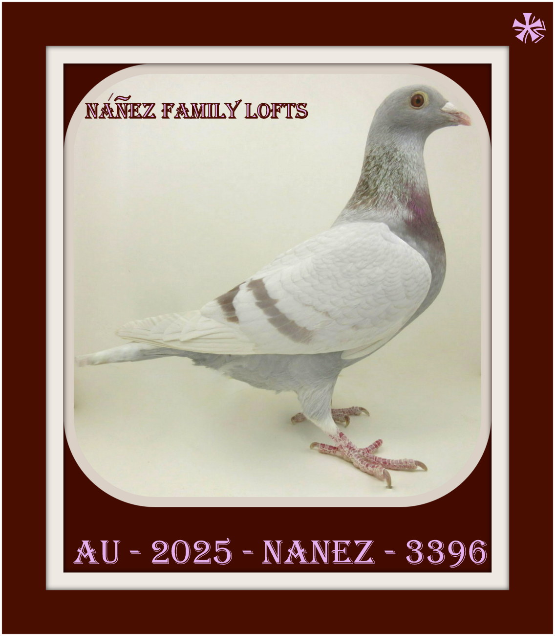 AU 2025 NANEZ 3396