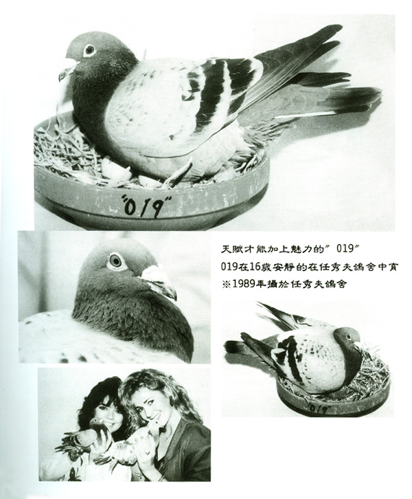 Preview Image 6