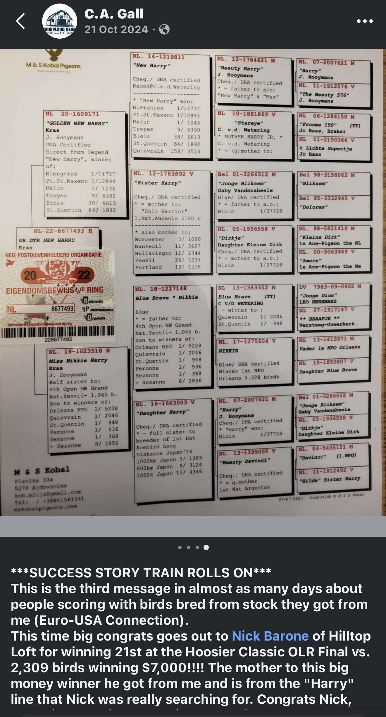Preview Image 5