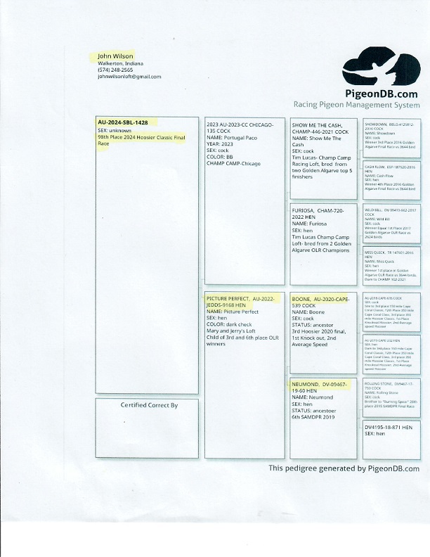 Preview Image 13
