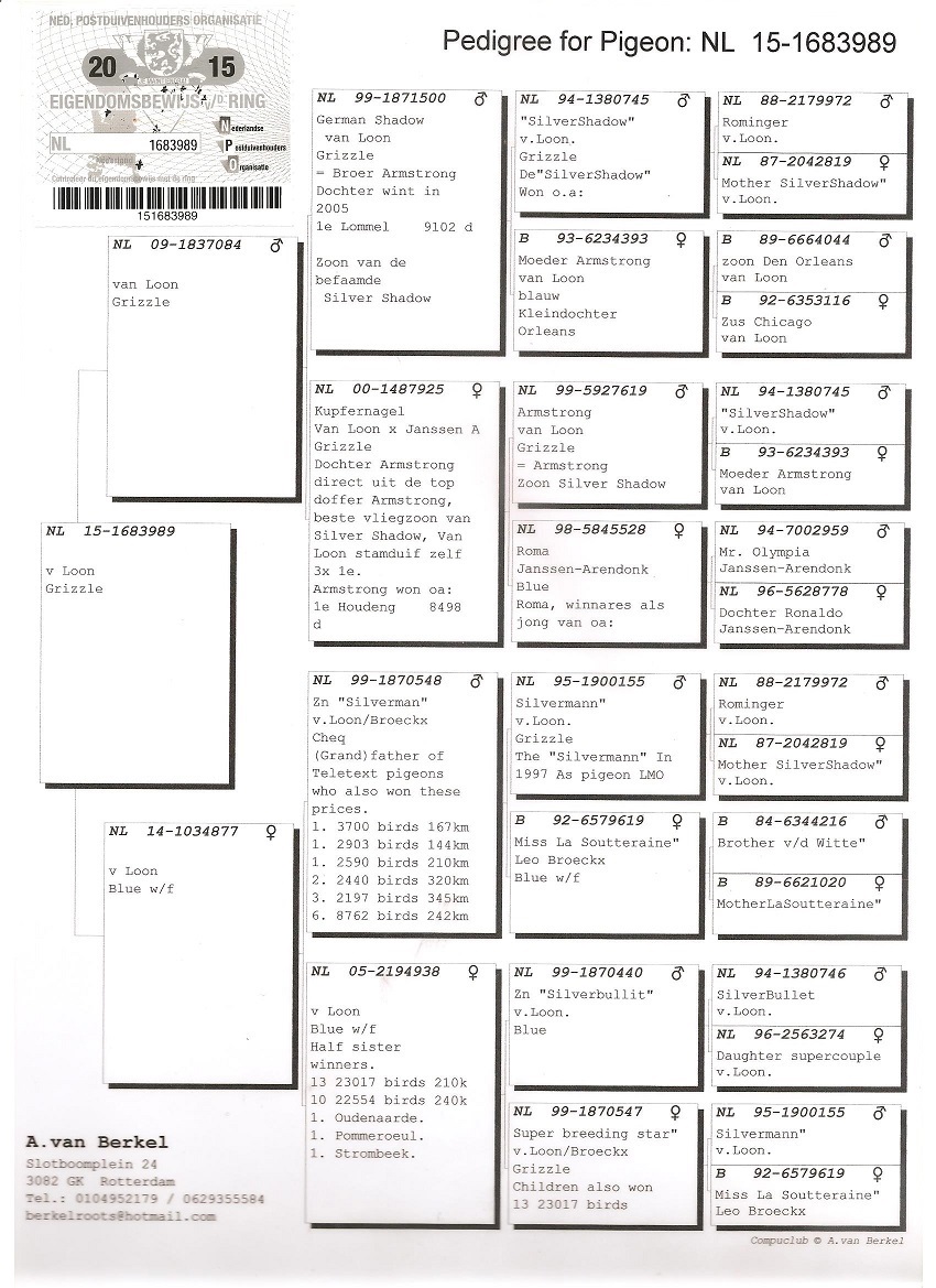 Preview Image 7