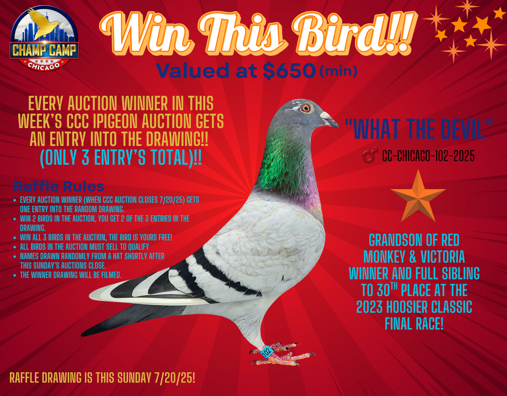 WIN THIS BIRD IN RAFFLE THIS WEEK!!