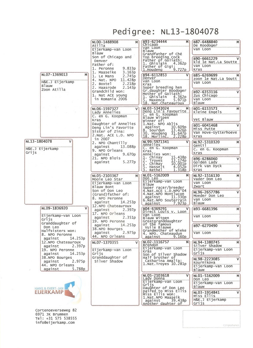 Preview Image 6