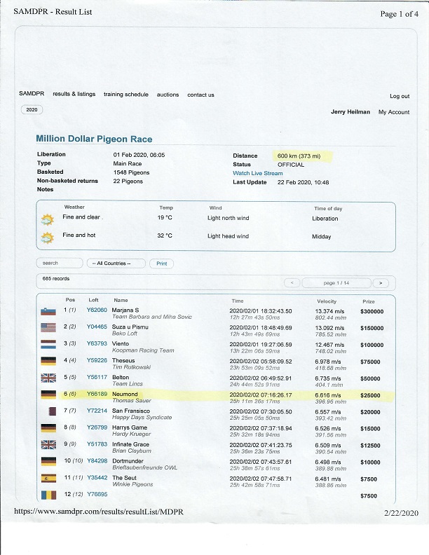 Preview Image 7