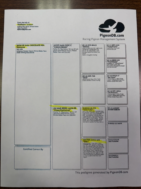 Preview Image 6
