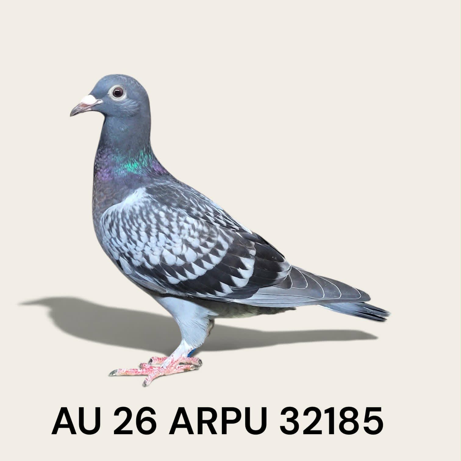 AU 26 ARPU 32185 Hen 