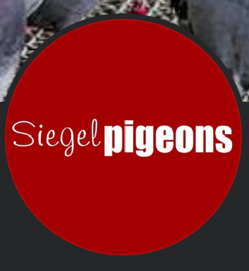 Donated by Ed Minville ~Siegal Pigeons