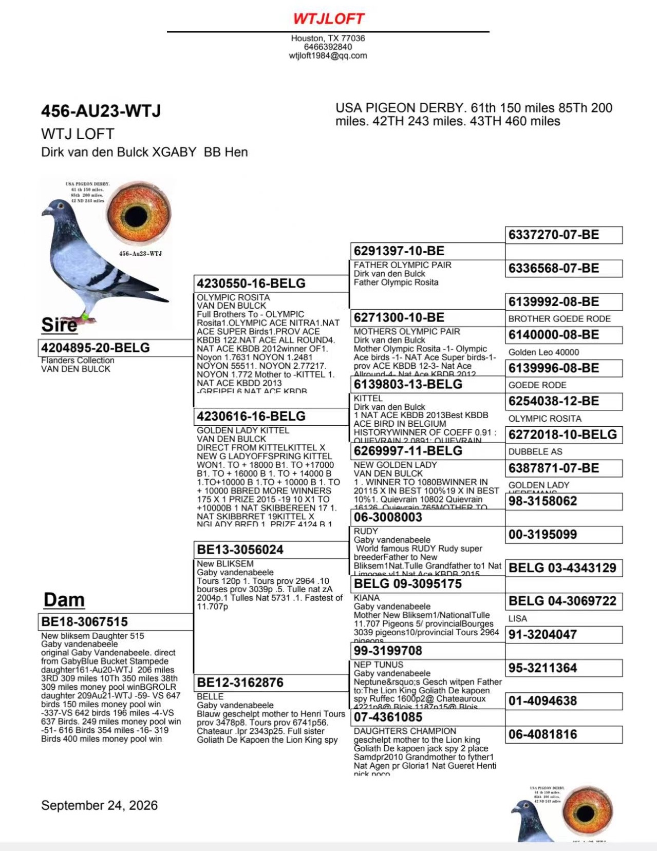 Preview Image 2