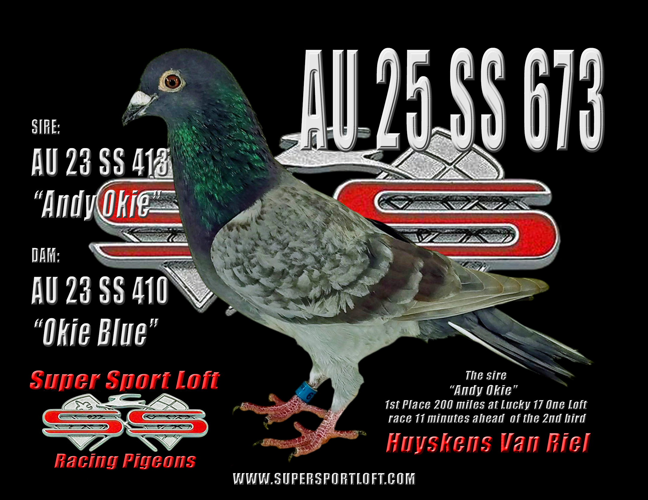 AU 25 SS 673 Huyskens Van Riel 100% HVR Cock