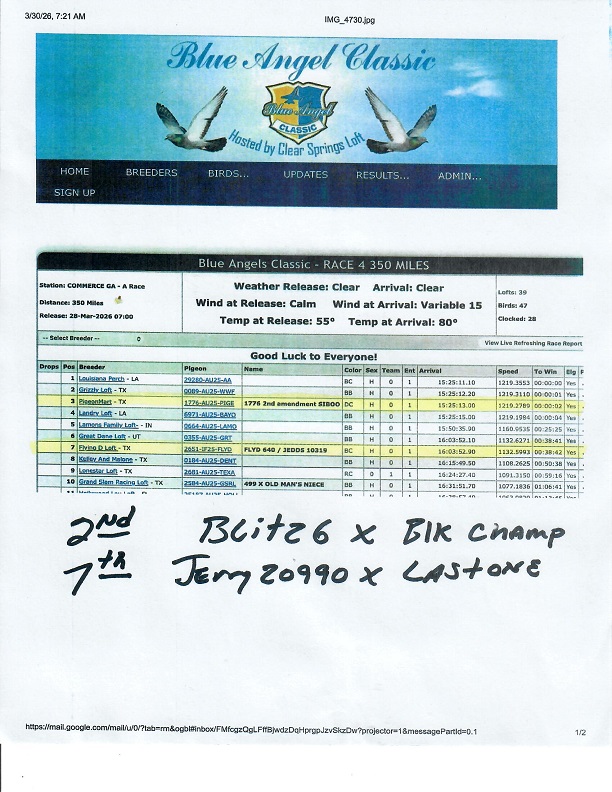 Preview Image 11
