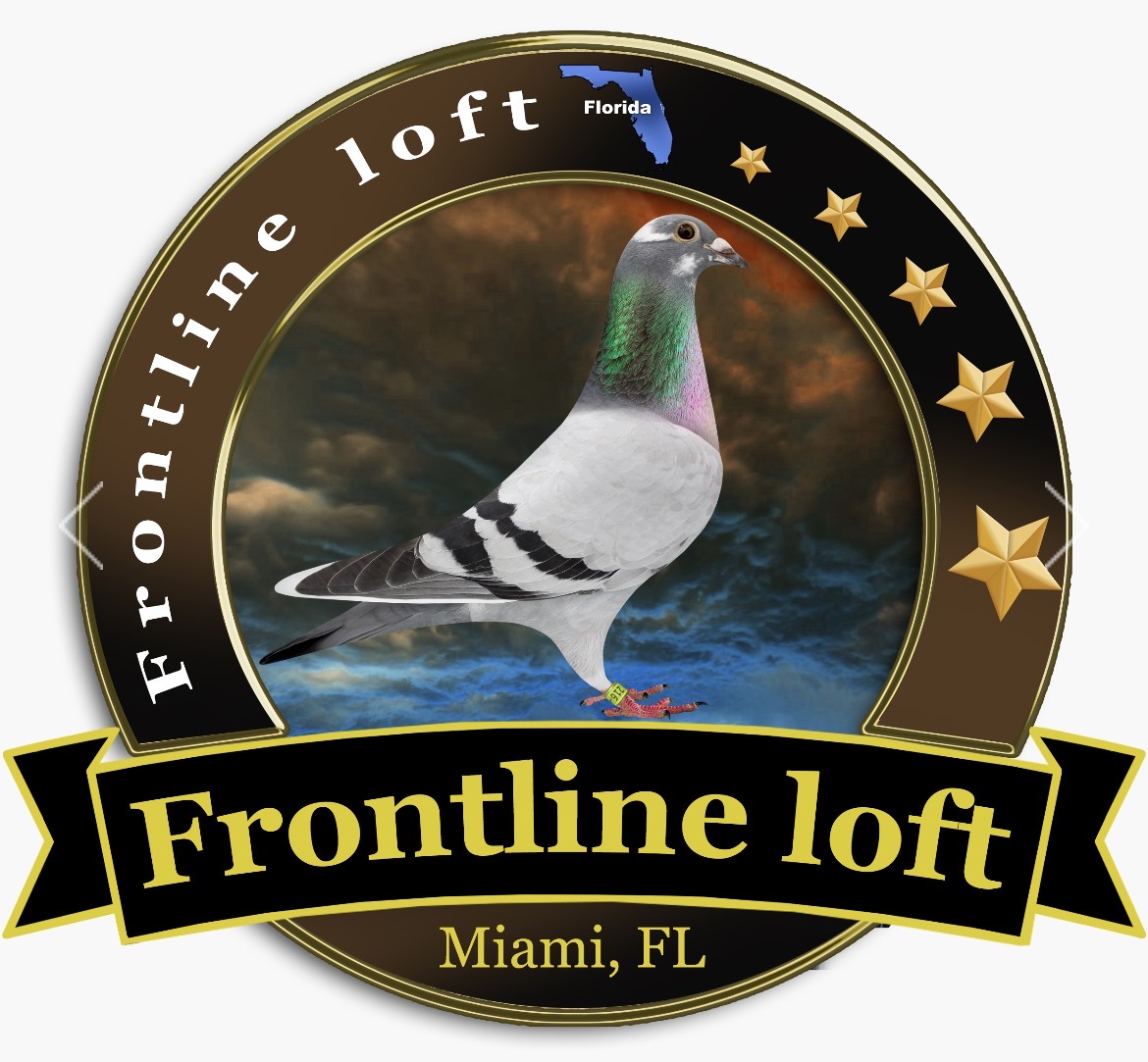 2 BIRDS 2026 - OUT OF THIS PAIR 