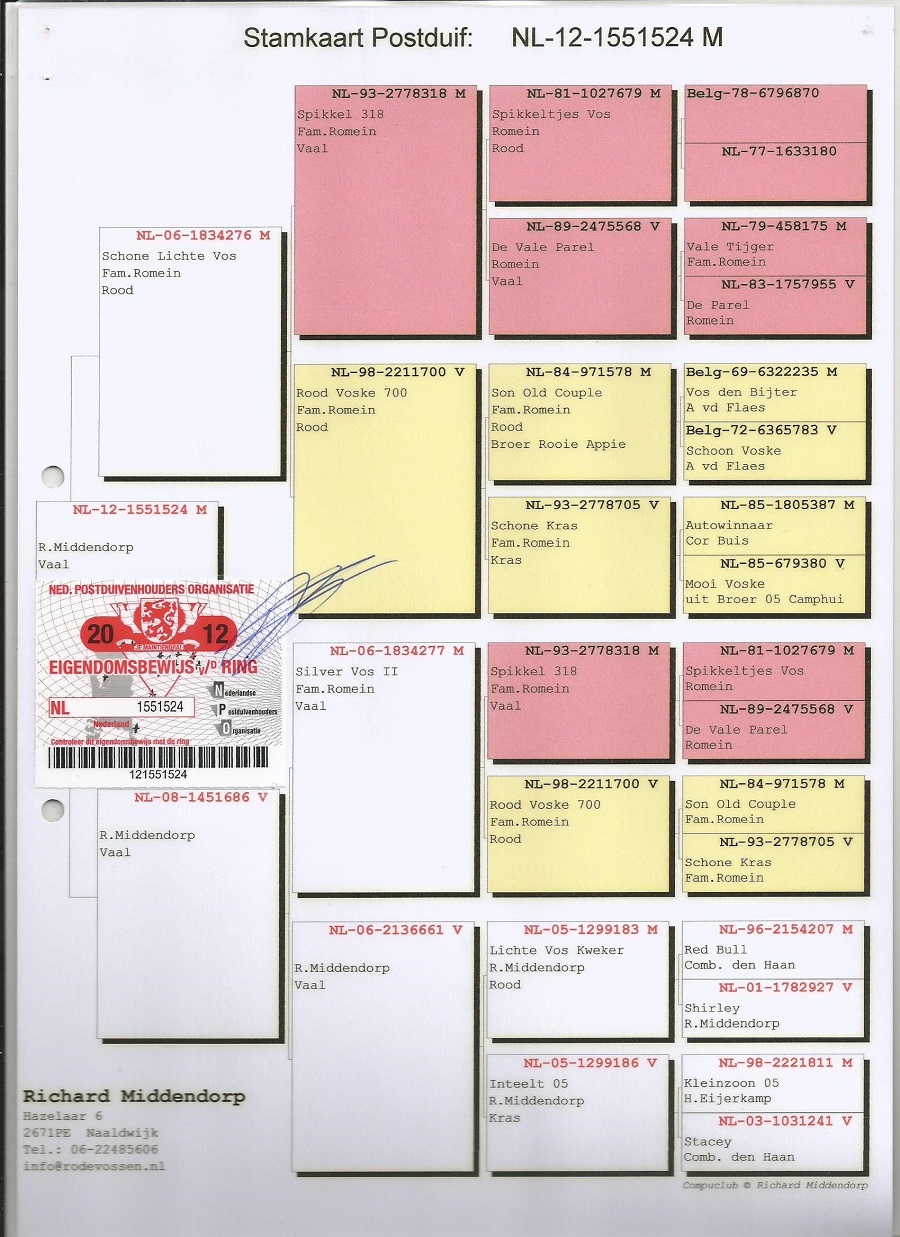 Preview Image 5