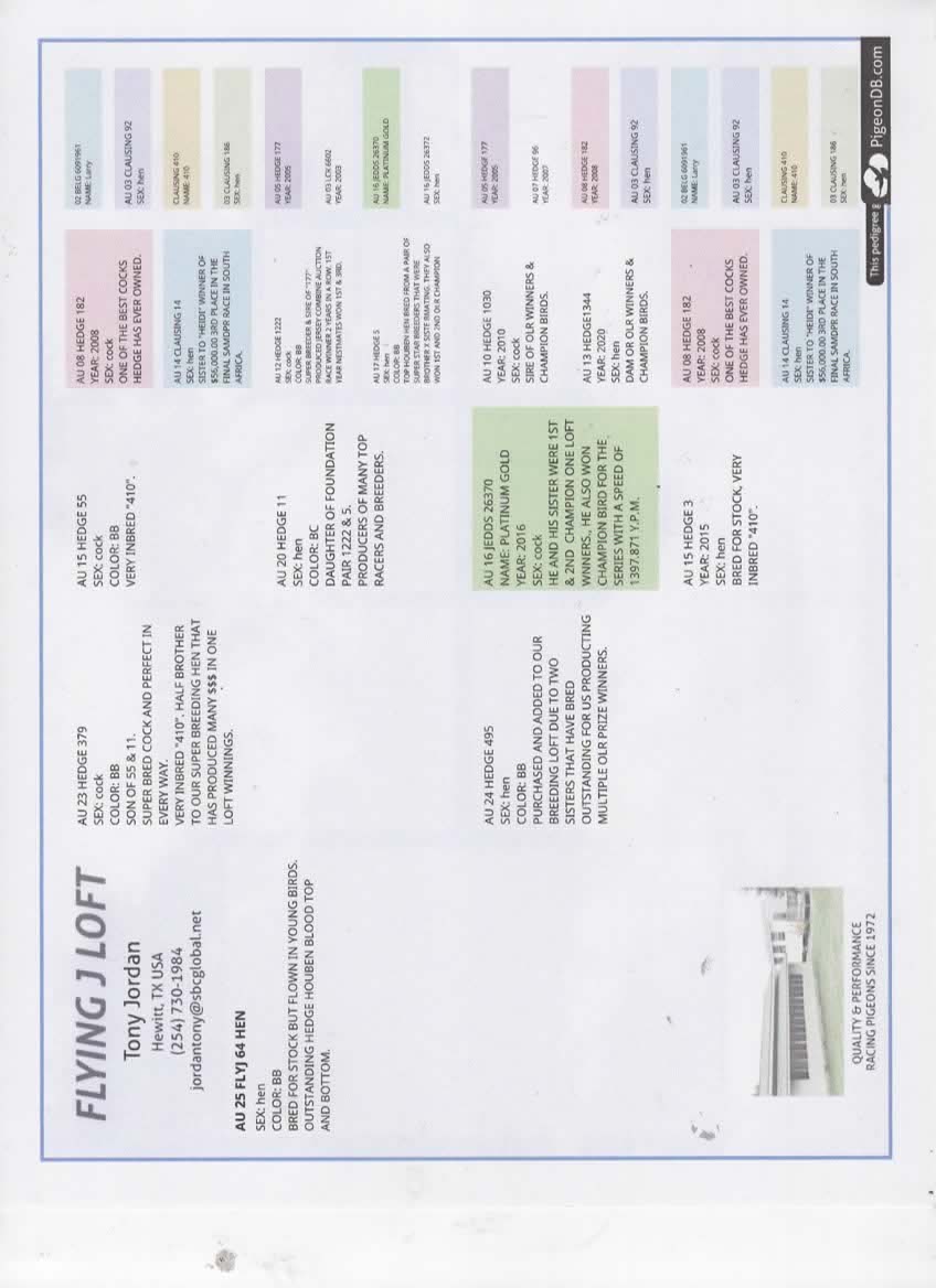 FLYJ 64 BBH OLR WINNING HOUBEN BLOOD