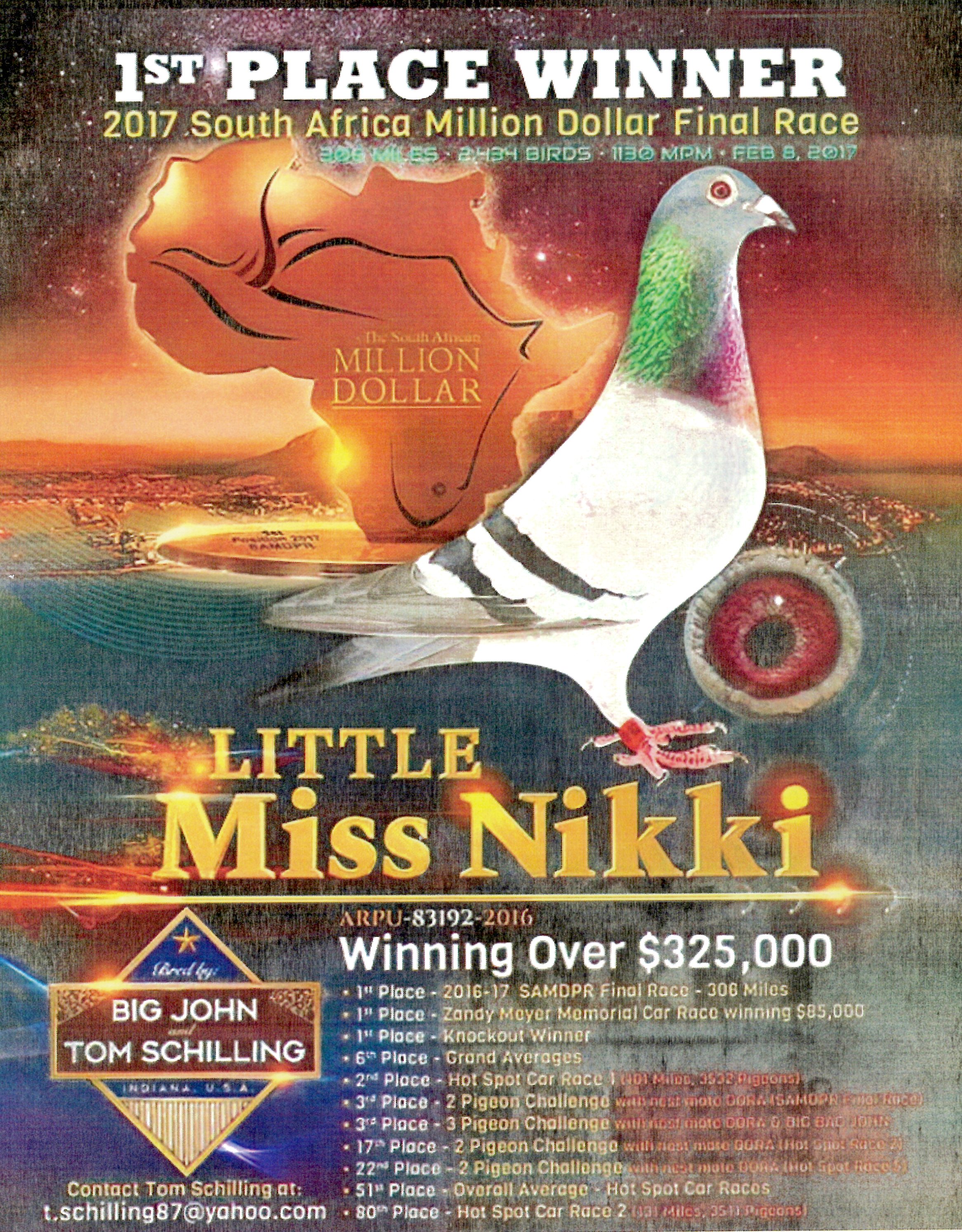 CC-CHICAGO-216-2023-COCK