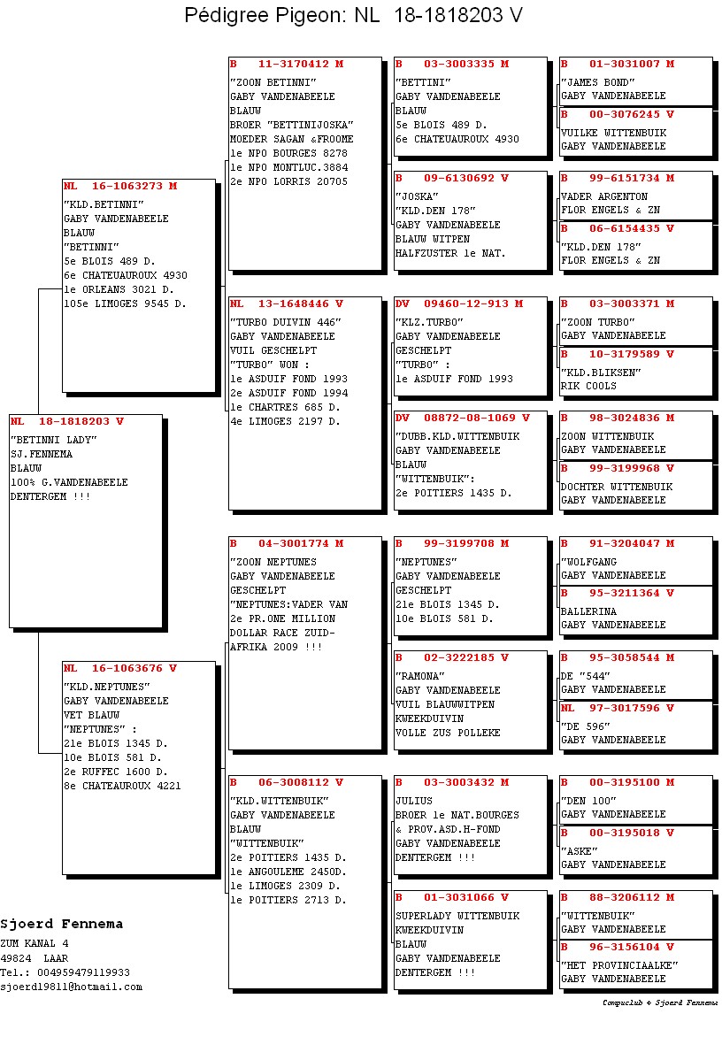 Preview Image 3