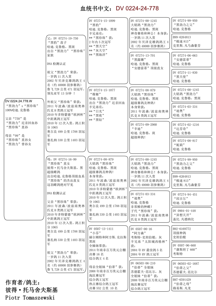IPigeon Racing Pigeon Auction ipigeon-racing-pigeon-auction