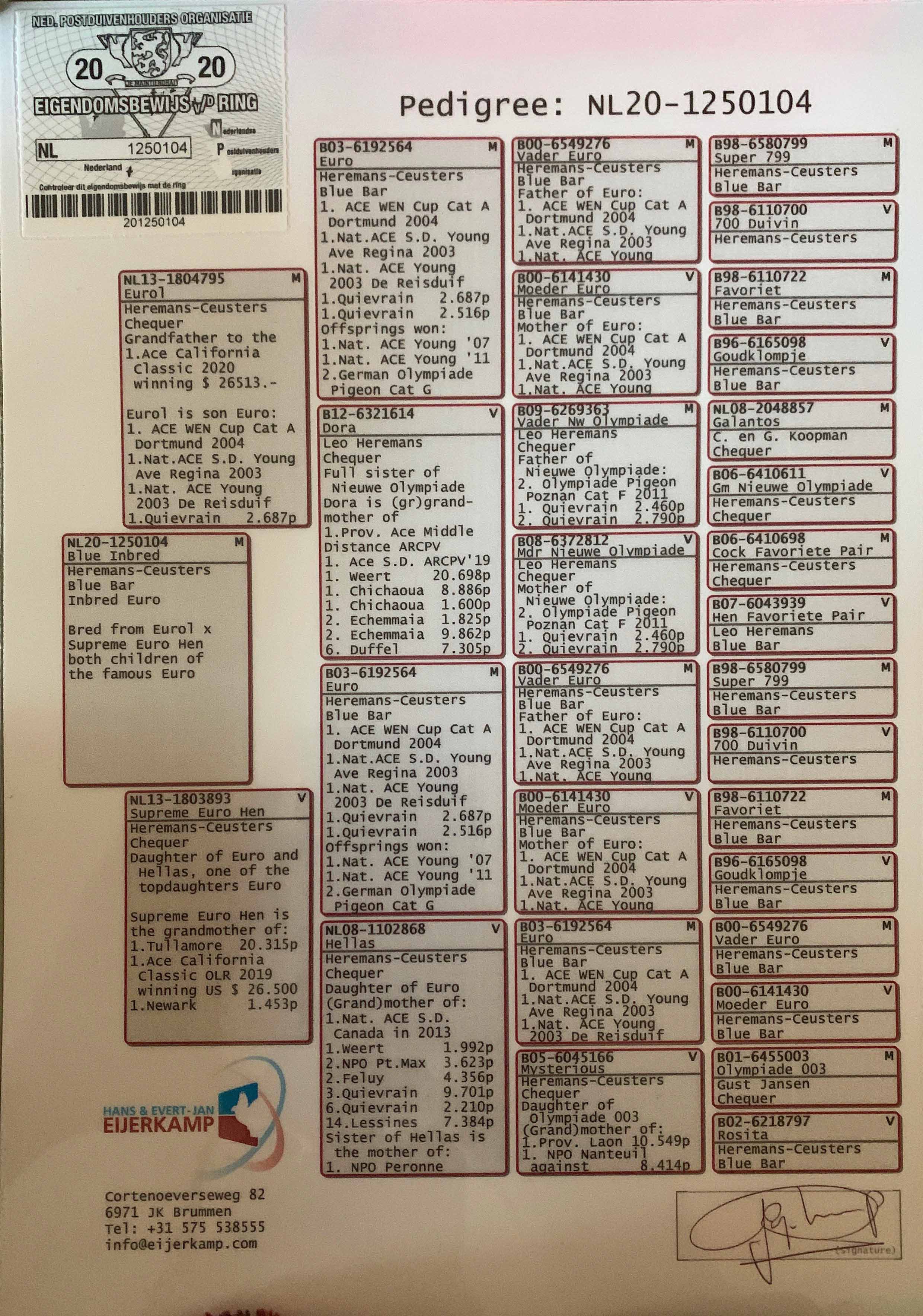 NL20-1250104
BROTHER HONEYDEW