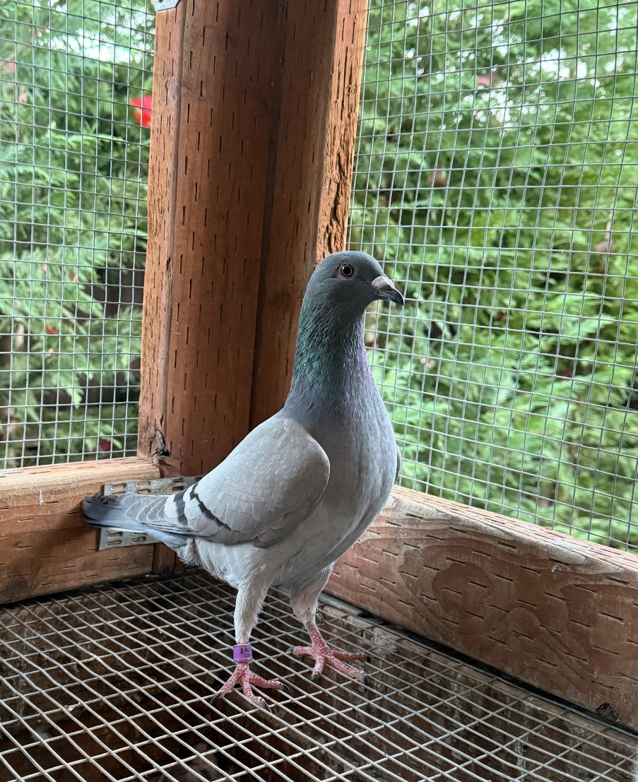 Florian x who’s your daddy 