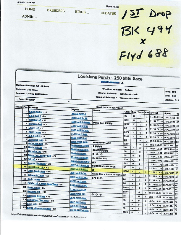 Preview Image 11