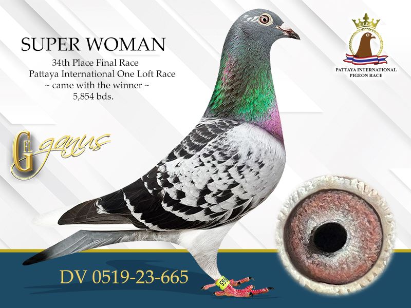 GFL 289-2025 Check Male