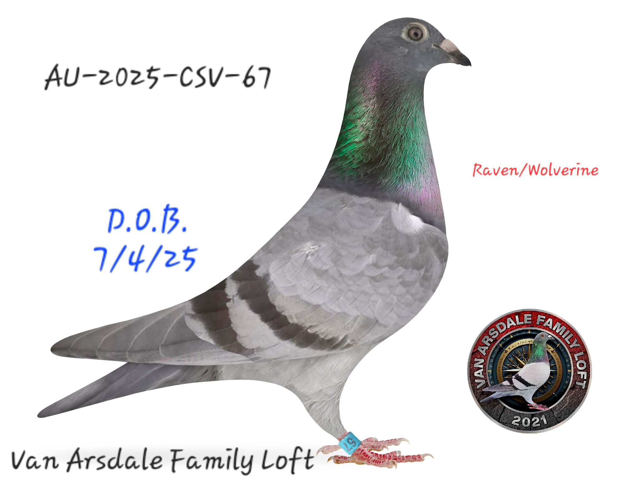 AU-2025-CSV-67