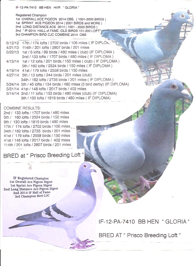 #1834 -2026 BB  HVR .Sire / Dam breeder of breeders 
