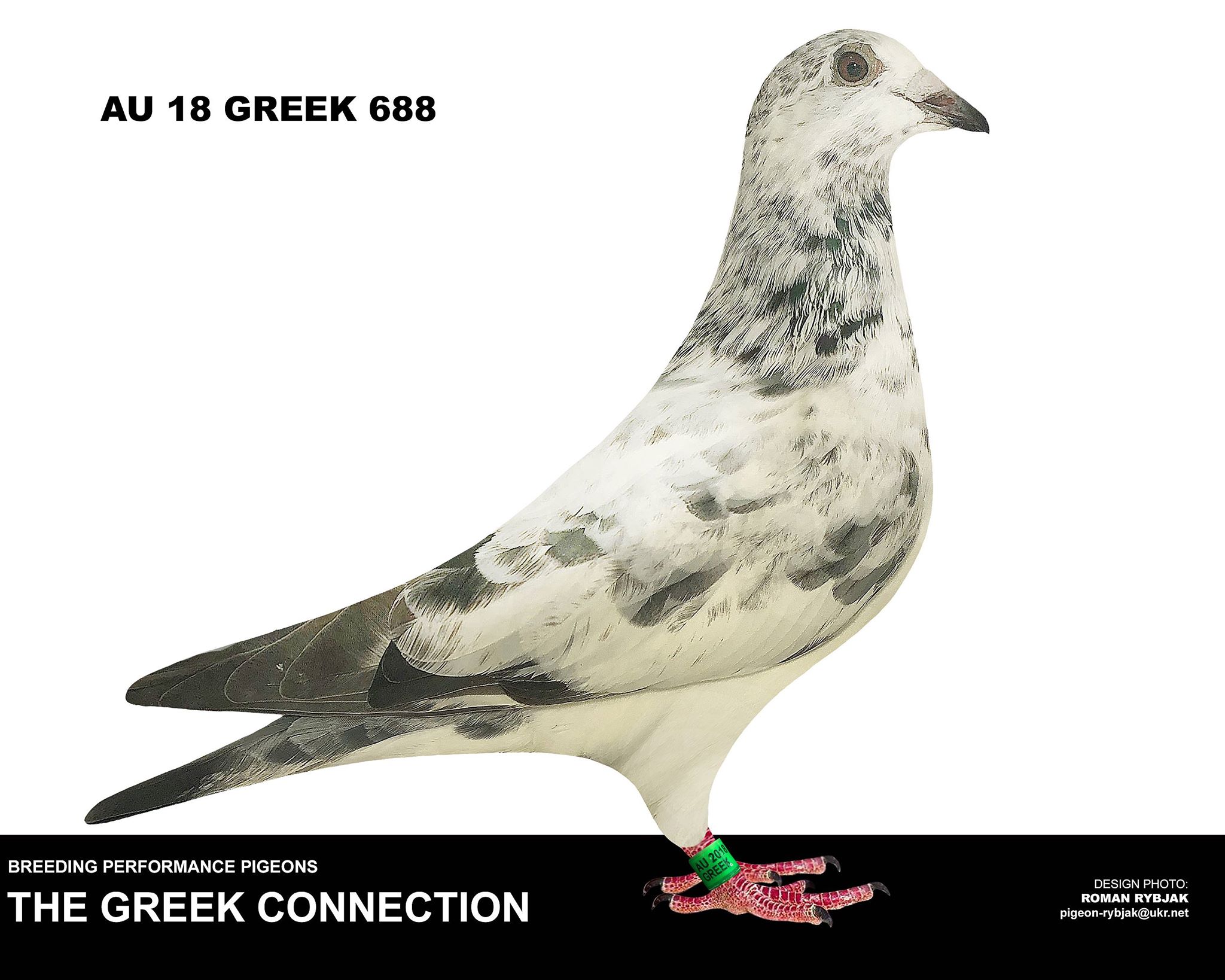 Preview Image 1