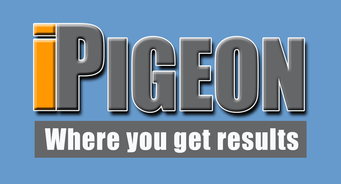 There will be an additional $400 import fee to be added on the price of the pigeon. 