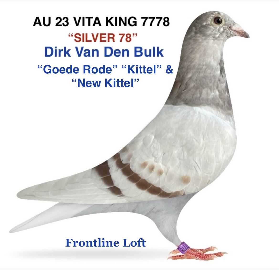 "Goede Rode" "Kittel" & "New Kittel"