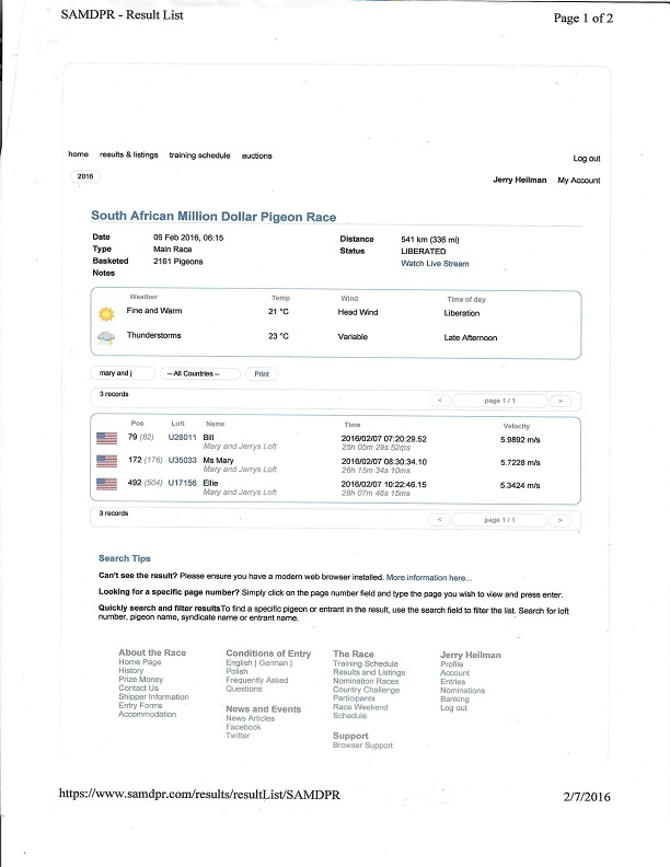 Preview Image 9