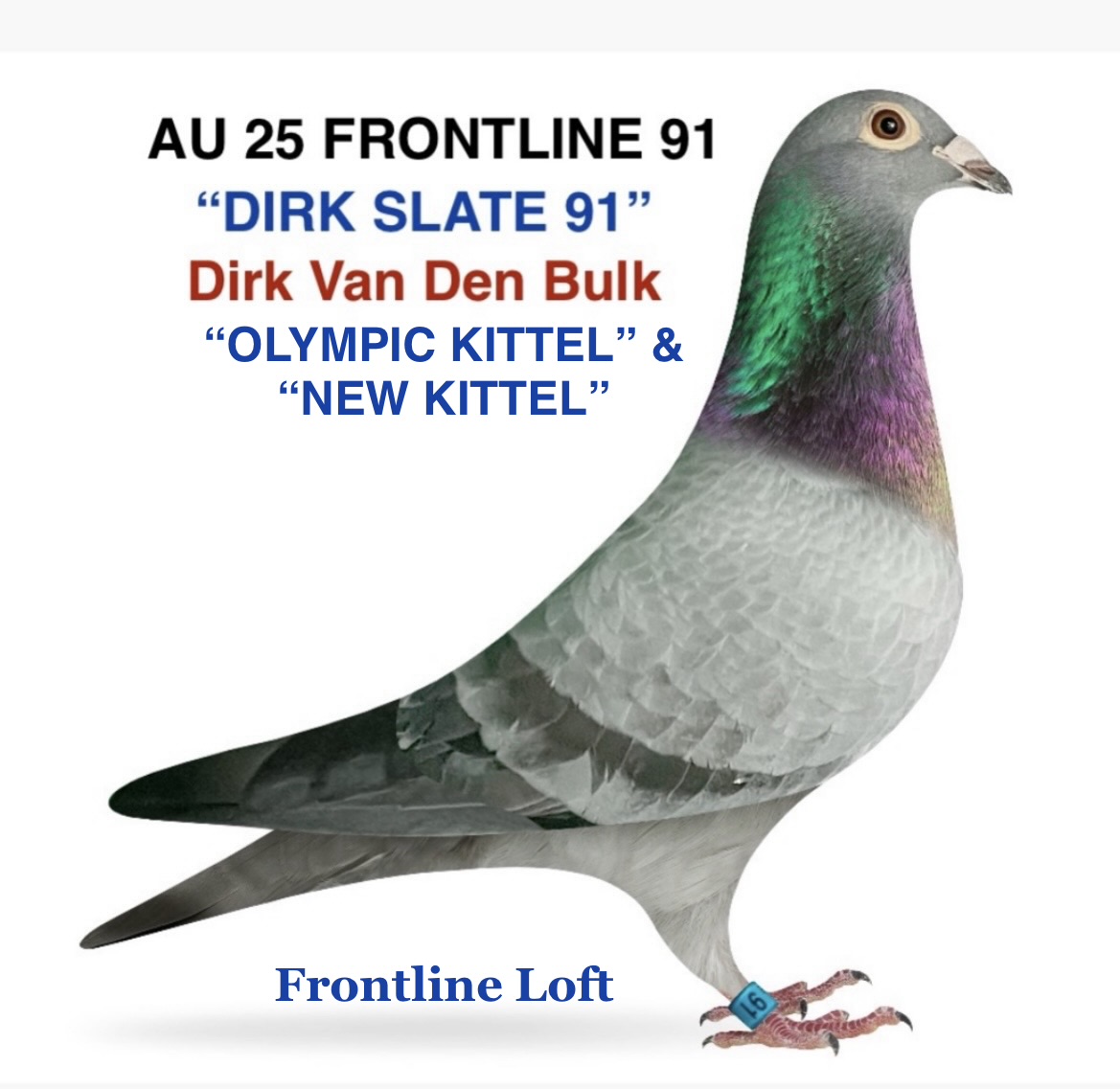 "OLYMPIC KITTEL" & "NEW KITTEL"