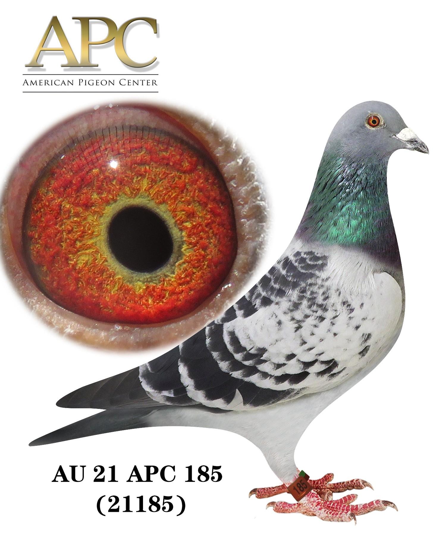 AU 21 APC 21185 - BC C 