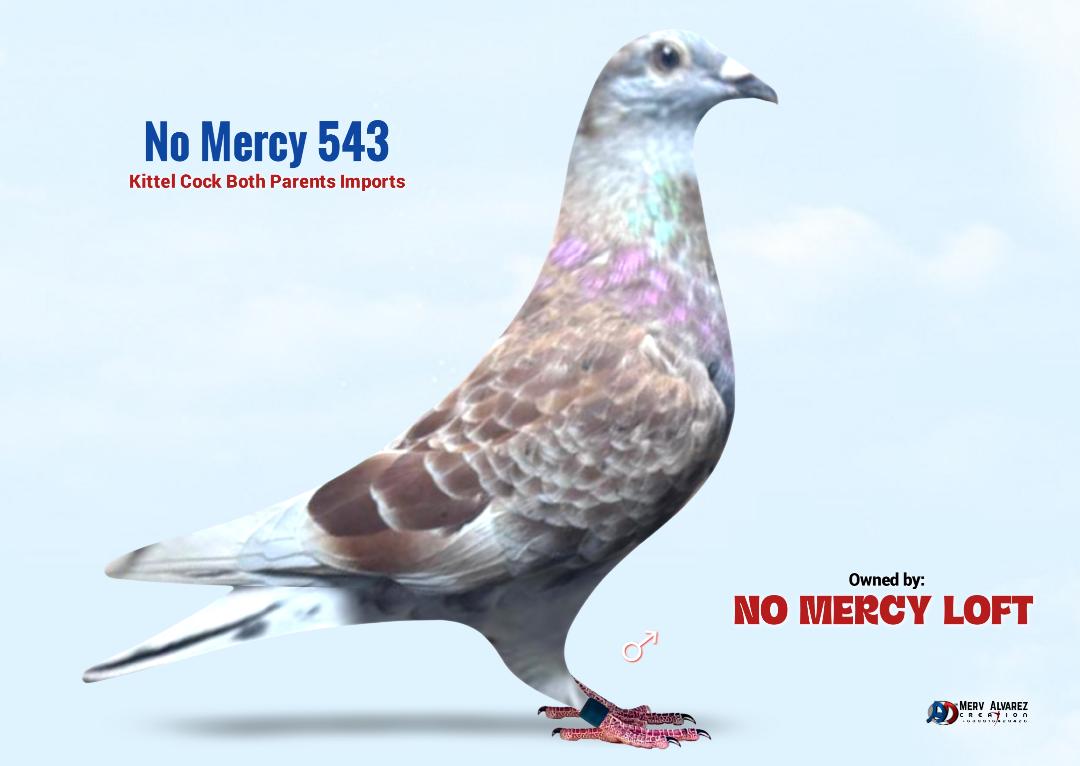 543  
