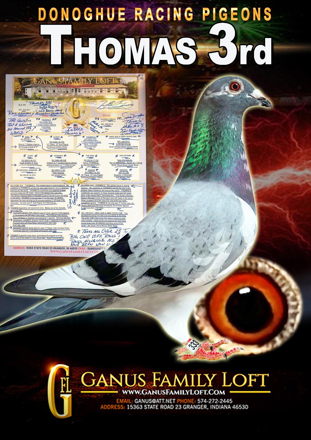 Preview Image 4