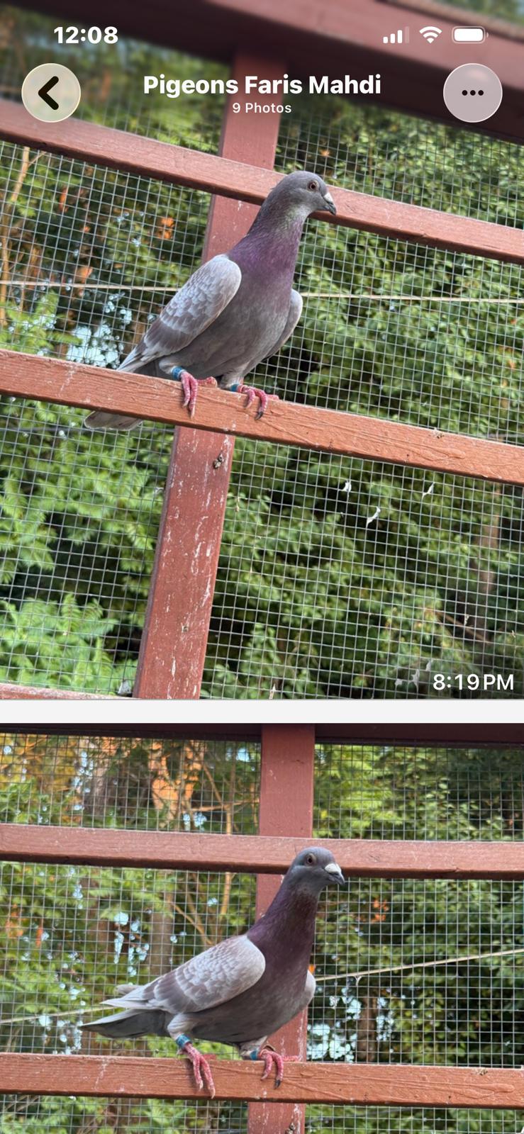 Preview Image 4