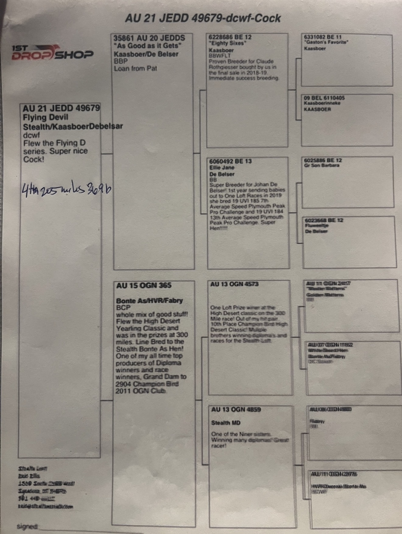 Flew in Flying D One Loft Race placing 4th 205 miles
