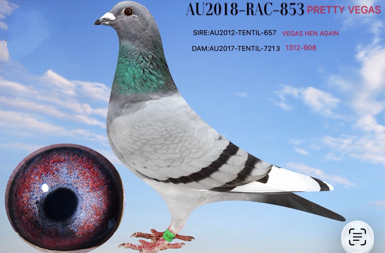 AU18-RAC-853 BBWF HEN