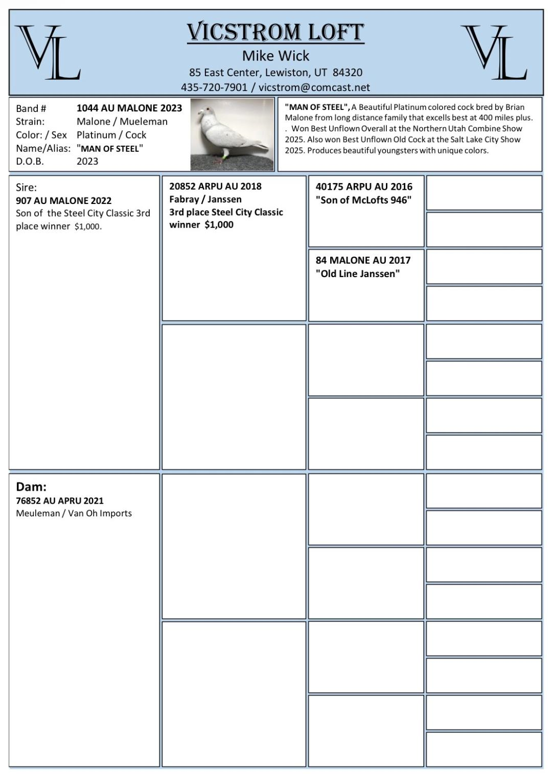 Preview Image 5