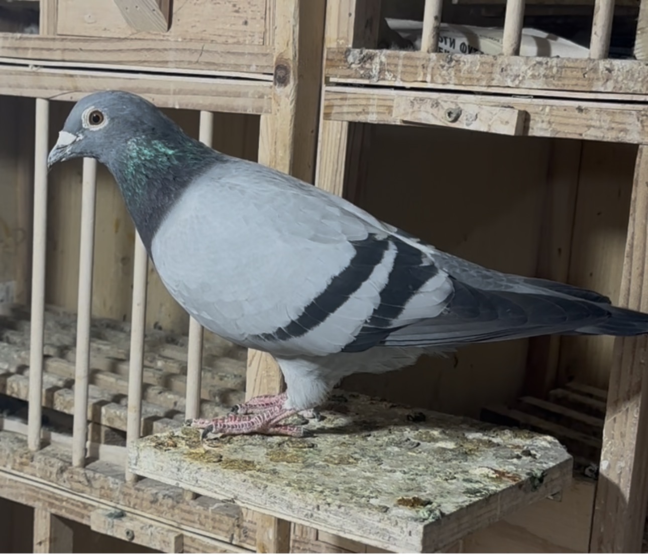 Breeder reduction 