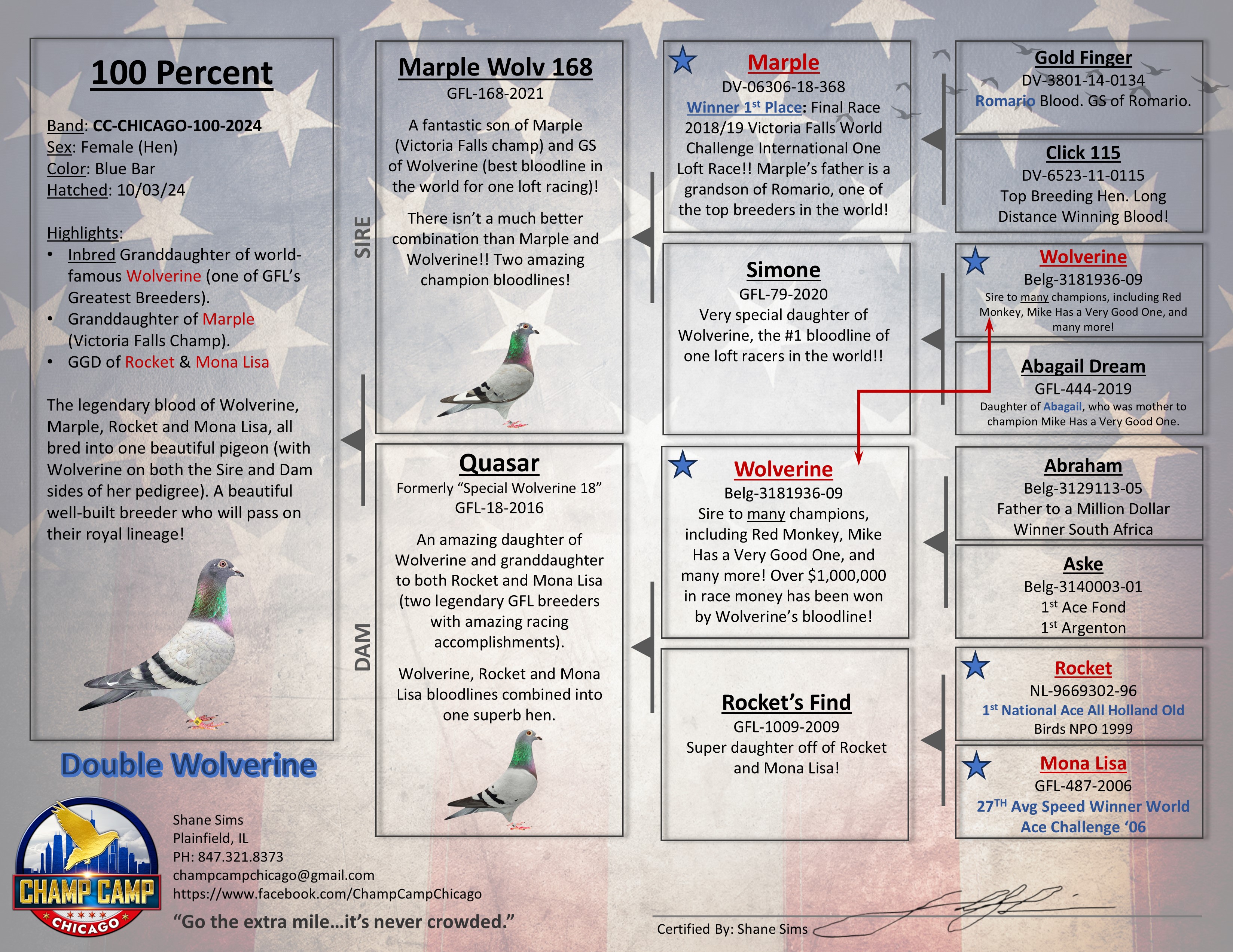 Preview Image 2