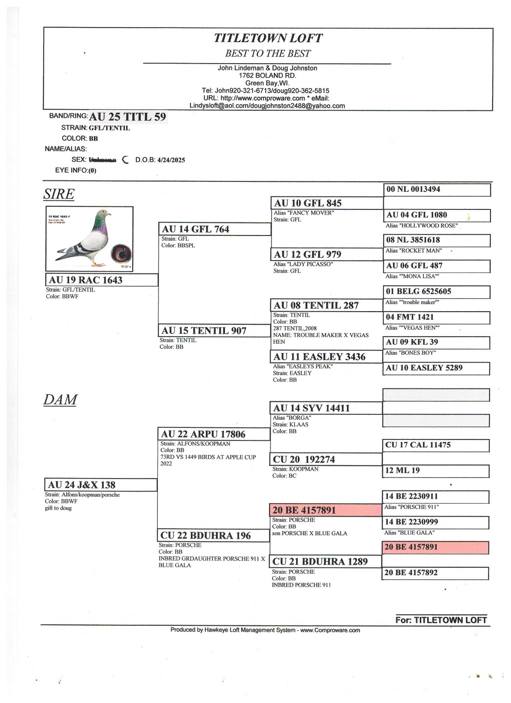 AU 25 TITLETOWN 59 BB COCK
