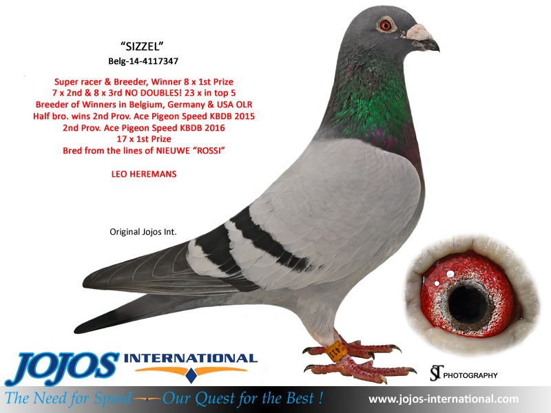 LOT # 43 AU-24-103394