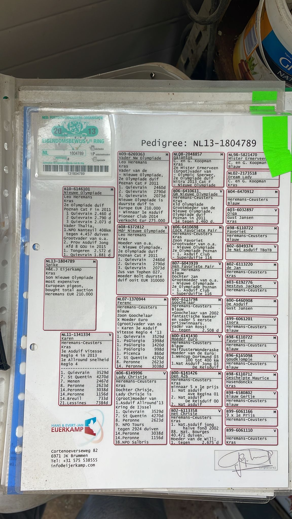Preview Image 5